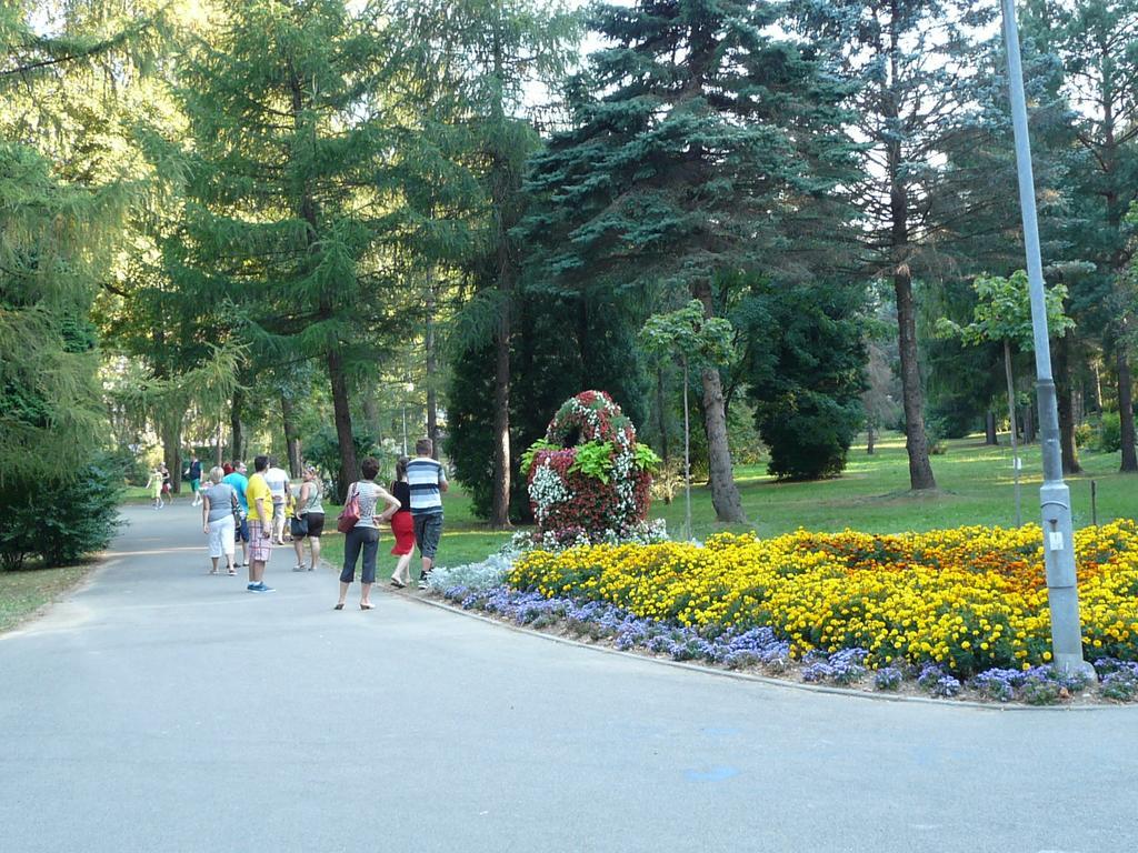 Villa Asturia Rymanów-Zdrój Kültér fotó