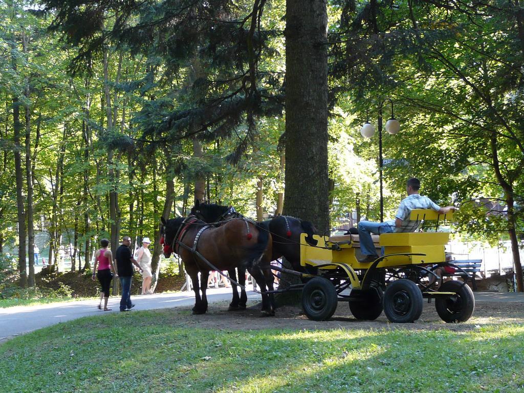 Villa Asturia Rymanów-Zdrój Kültér fotó